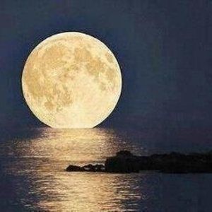 Meet your Posher, Annette